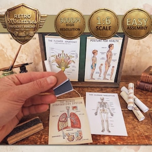 Pode incluir: Um conjunto de oficina de artesanato em papel em miniatura com gráficos e diagramas educacionais. O conjunto inclui um gráfico de anatomia em miniatura, um gráfico de postura e um diagrama do esqueleto humano. O conjunto é em escala 1:6 e fácil de montar.