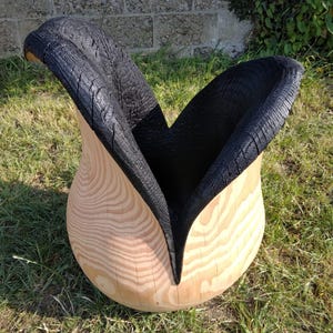 Peut inclure: Une sculpture en bois unique avec une base en bois naturel et un intérieur noir texturé contrastant. La sculpture a une forme arrondie, semblable à un vase, avec une large ouverture, posée sur de l'herbe.