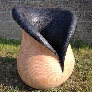 Peut inclure: Une chaise en bois unique avec une base en bois naturel et un dessus noir carbonisé. La chaise présente une base arrondie avec un grain de bois visible et une assise noire incurvée et texturée. La chaise est à l'extérieur sur l'herbe.