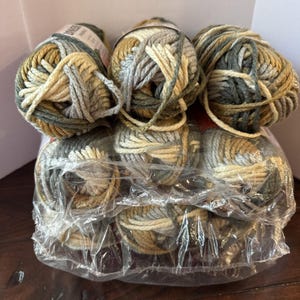 Bernat Softee Chunky Lot 9 Stillness Calme Tranquilidad Skeen Yarn 161129 NOS
