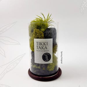 Modern home decor, dry terrarium, Air plant, Preserved moss, Natural air purifier, oil diffuser, Christmas, gift, favor, tikkitaka
