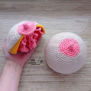Crochet Breast Model, Breastfeeding Demonstration Model, Student Midwife gift, Lactation consultant, Labor and delivery