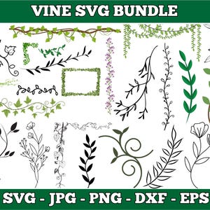 Puede incluir: Colección de gráficos SVG con temática de vid. Los diseños incluyen vides con hojas, elementos florales y bordes decorativos en verde, negro y blanco. La imagen también incluye el texto "VINE SVG BUNDLE" y opciones de tipo de archivo.