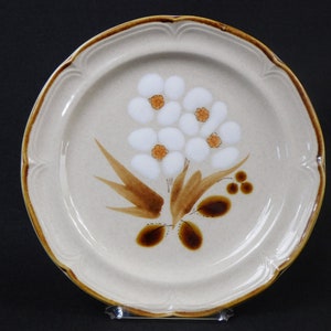 Stoneware Dinner Plates Vintage Set of 2 Castlewood by Hearthside Made in Japan