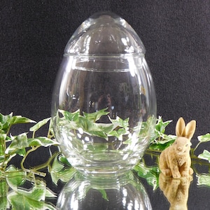 Vintage Apothecary Jar Terrarium Jar Candy Jar Glass Jar