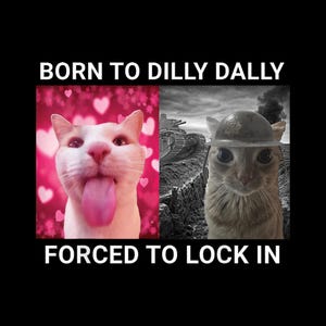 Op de afbeelding: Een meme met twee kattenafbeeldingen. Links een witte kat met zijn tong uit, omringd door roze harten. Rechts een kat met een helm, met een tank op de achtergrond. De tekst luidt "BORN TO DILLY DALLY FORCED TO LOCK IN."
