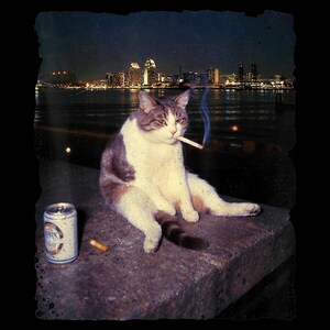 Puede incluir: Un gato con pelaje blanco y gris fuma un cigarrillo, sentado en una repisa de piedra. Una lata de cerveza y una colilla de cigarrillo están cerca. El horizonte de la ciudad es visible en el fondo por la noche.