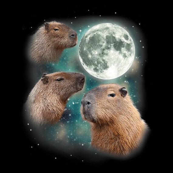 Funny Capybara Meme PNG: Three Capybaras Howling at Moon (Digital Download)