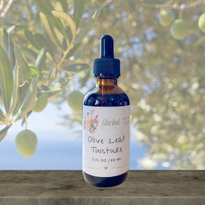 Olive Leaf Tincture | Olive Leaf Extract | Olea europaea | Herbal Wellness Gifts | 2 oz / 60 ml Dropper Bottle
