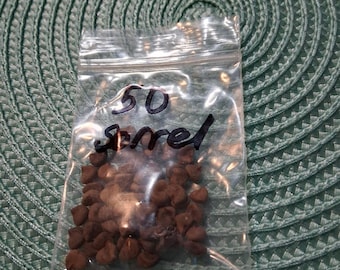 Semillas de acedera