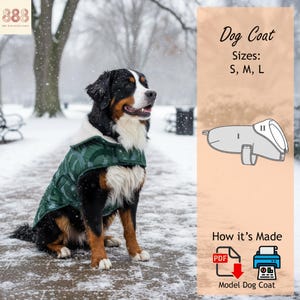 Peut inclure: Un bouvier bernois portant un manteau pour chien vert avec une doublure en polaire blanche, assis sur un chemin enneigé. Le manteau a un motif géométrique. Le texte indique "Dog Coat" et "Tailles: S, M, L".