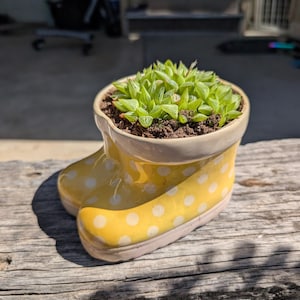 May include: A white ceramic mug with a black handle and the text "But First, Coffee" in a black, handwritten-style font. The mug is on a white surface.