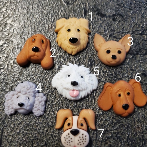 aka jibbitz for crocs