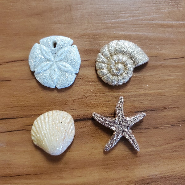 Sea shells Shoe Charm  Starfish Nautilus Sand Dollar Shell