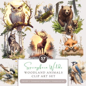 Woodland Animals Clip Art PNG Set Cute Animal Clipart Forest Creatures Wolf Squirrel Rabbit Fox Bear Deer Owl Bird Illustrations 57 Images