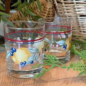 Set of 2 Vintage Corelle Corningware Abundance Juice Glasses