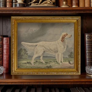 The Field Dog No. 04 - 11x14 Antique Inspired Framed Hunting Standing Irish Settler Dog Portrait
