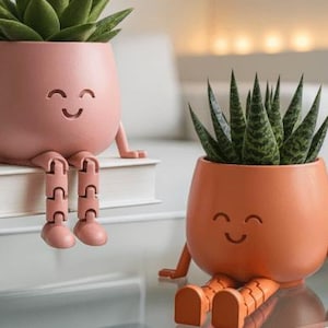 Puede incluir: Dos macetas redondeadas con caras sonrientes y piernas articuladas colgantes. Una maceta es de color rosa empolvado y contiene una suculenta verde, mientras que la otra es de color naranja terracota y contiene una planta verde espinosa con rayas.