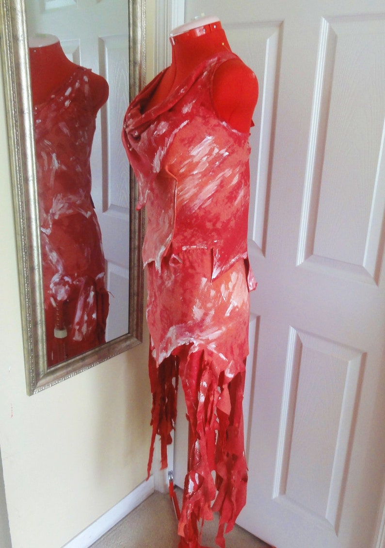 Lady Ga Meat Dress Halloween Party Costume custom made image 6