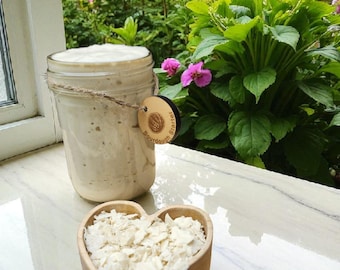 Active Sourdough Starter