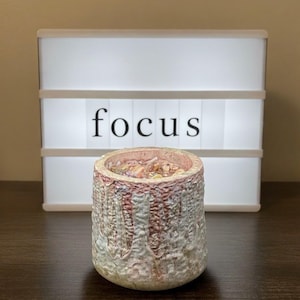 May include: A textured ceramic container with a light pink and white exterior. The container is cylindrical and sits on a dark brown surface. Behind it is a white light box with the word "focus" in black letters.