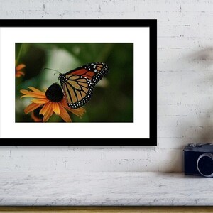 Queen Susan - large wall art