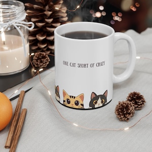 Cat Mug, Funny Cat Coffee Cup, Cat Lover Gift, Animal Lover Mug, Cat Lady Gift, Cat Mom Gift, Crazy Cat Lady Mug, Gift for Cat Owner, Cat