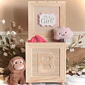 May include: A wooden baby block with the letter "B" carved into the front. The top of the block is open, revealing a pink cloth and a plush cloud. A sign inside the block reads "it's a Girl!" A stuffed monkey sits to the left.