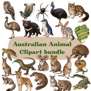 May include: A collection of colorful illustrations of Australian animals, including a spider, snake, kangaroo, koala, and more. The text "Australian Animal Clipart bundle" is displayed in green letters on a tan background.