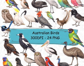 Australian Birds Clipart Bundle – 24 Watercolor Bird PNG Files 300 DPI – Native Australia Wildlife Sublimation Design