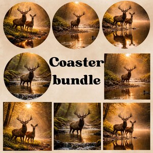May include: A coaster bundle with images of deer in a forest setting. The coasters have a warm colour palette with sunlight filtering through the trees and reflecting on the water. The text "Coaster bundle" is also visible.