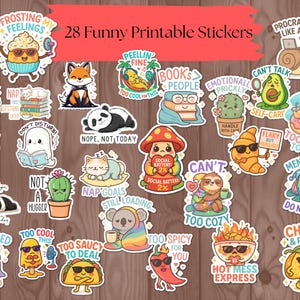 Funny Printable stickers bundle | Sarcastic Quotes PNG | Sublimation | Joke Stickers