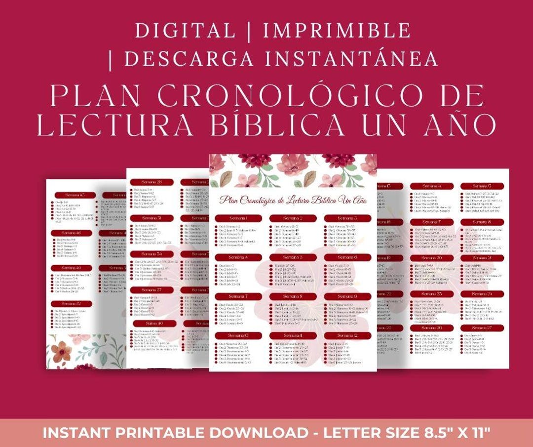 One-year Chronological Bible Reading Plan | the Bible in 365 Days PDF ...