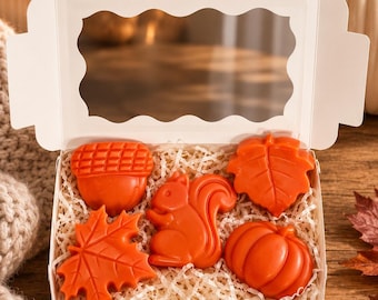 Autumn Wax Melts Gift Set-Soy Wax Melts-Pumpkin Spice-Fall Wax Melts-Wax Melt Gift-Wax Warmer Melts-Herbst Wax Melts-Duftwachs-Herbstduf