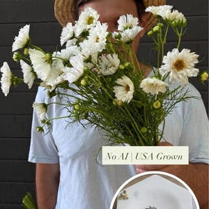 May include: A person holding a bouquet of white cosmos flowers with yellow centers and green stems. The person is wearing a straw hat and a light blue t-shirt. The text "No AI | USA Grown" is visible.