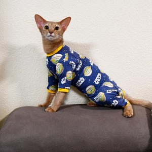 Op de afbeelding: Een bruine kat draagt een blauwe Star Wars-onesie met gele randen. De onesie heeft een herhalend patroon van Grogu en Star Wars-tekst. De kat zit op een grijze ondergrond.