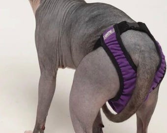 Zmywalna pieluszka dla kota, bielizna dla kota z ćwiekami