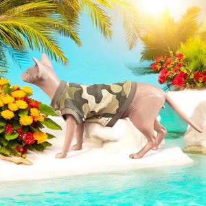May include: A hairless cat wearing a camouflage-patterned sweater stands on a white surface. The cat is light pink with a long tail. The background features tropical plants, flowers, and a blue sky, creating a beach-like setting.