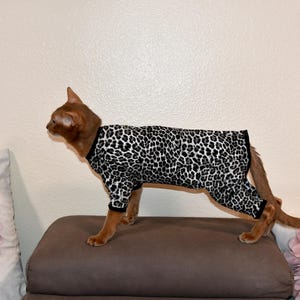 May include: A cat wearing a fitted, long-sleeved bodysuit featuring a black and white leopard print pattern. The garment has black trim around the neck, cuffs, and leg openings, covering the torso and upper legs of the animal in a snug fit.