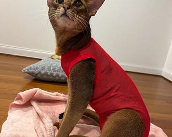 Washable Cat Diaper, Cat Stud Suit – Allows Use of Litter Box