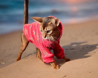 Winter Hoodie for Cat, Dog Clothes, Dinosaur print, Double Layer Velvet Pet Sweater