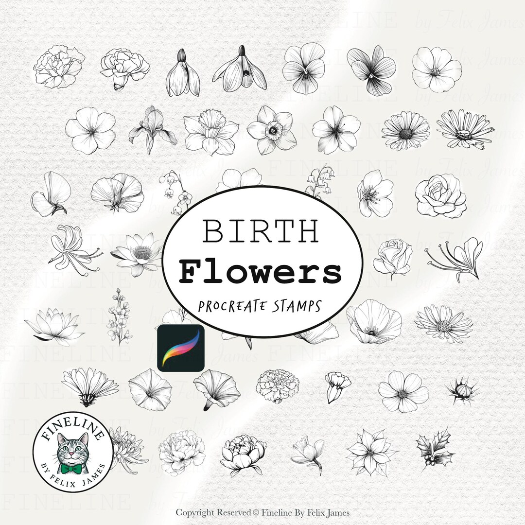 Procreate Birth Flowers: Monthly Floral Designs & Stamps (digital ...