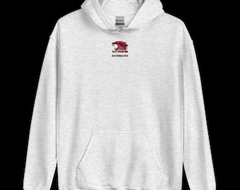 iBUYPOWER ステッカー CS2 パーカー プリント ユニセックス ゲーマー パーカー カジュアル eスポーツ ストリートウェア