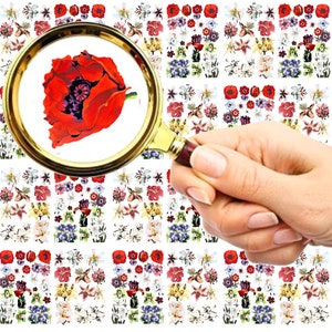 Nail Decals (5 sheets) Beautiful Flower Lilies, Poppies and Wild Flowers Bright Colorful Garden FLONZ 101-209