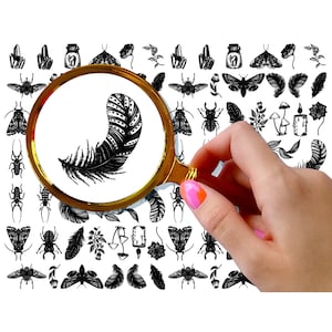 Nail Decals (5 sheets) Black and White Ink Vintage Moths Feathers Bugs Crystals Mushrooms Witch Halloween FLONZ 101-242