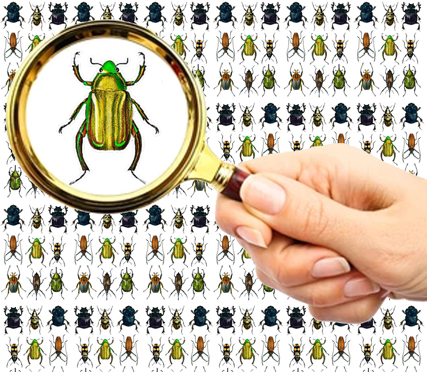 Nail Decals (5 sheets) Creepy Crawly Bright Bugs and Beetles FLONZ 101-207