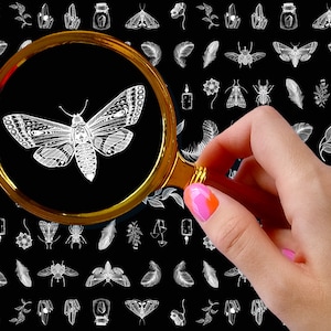 Nail Decals (5 sheets) ~ Simple White Moths Feathers and Bugs Nail Decor Transfer Vintage Styled Stickers ~ FLONZ 101-424