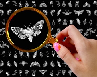 Nail Decals (5 sheets) ~ Simple White Moths Feathers and Bugs Nail Decor Transfer Vintage Styled Stickers ~ FLONZ 101-424