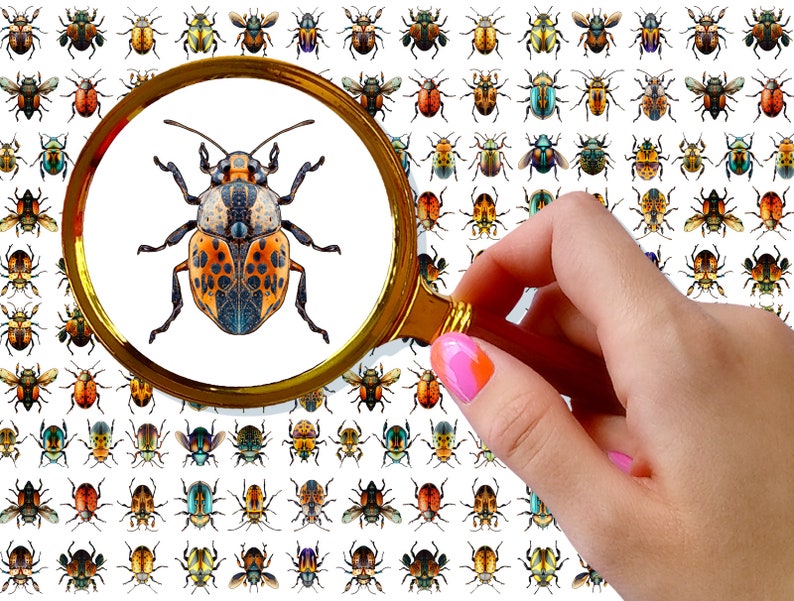 May include: A magnifying glass is held over a colorful beetle with orange, black, and blue markings. The beetle is surrounded by a grid of other colorful beetles.