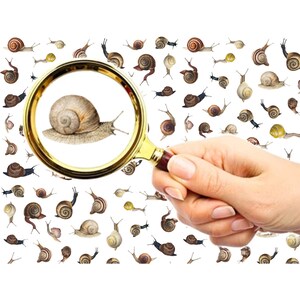 Nail Decals (5 sheets) Vintage Cute Unique Ugly Snails Slugs Insects FLONZ 101-026
